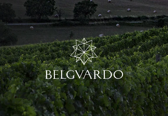 Belguardo Maremma Wein kaufen
